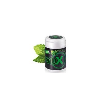 KauX Dental Chewing Gum with Xylitol (40pcs)